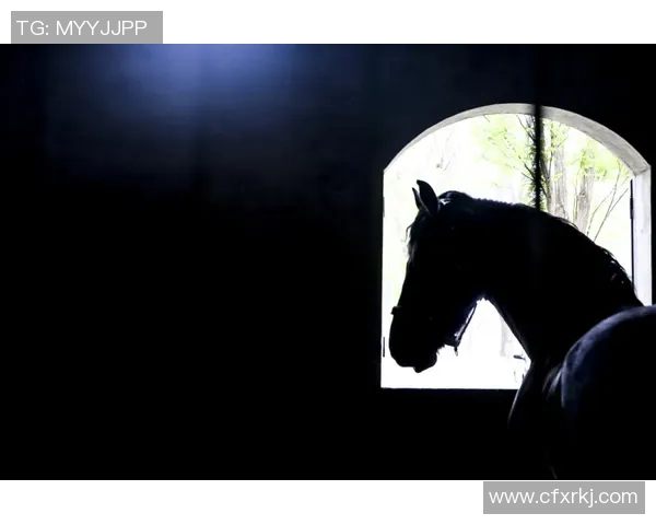 新澳天天开奖资料大全全面解析助你掌握最新开奖动态与中奖技巧